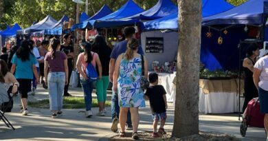 Feria Navideña de Limache: Programa social y vitrina para emprendedores y emprendedoras.