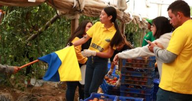 Todo listo para la Fiesta del Tomate Limachino 2024.