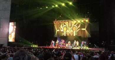 Descubre todos los panoramas que Viña del Mar tiene para ofrecer este verano!