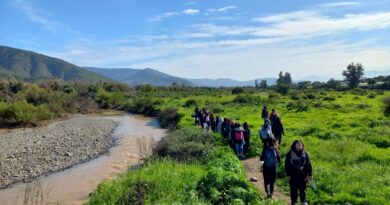 Cerca de dos mil personas han visitado los humedales de Quillota con la oficina de Medio Ambiente.