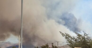 [Actualizado] Una serie de incendios asolan a la Región de Valparaíso.