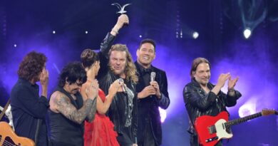 Maná volvió a Viña del Mar y cautivó a punta de clásicos.