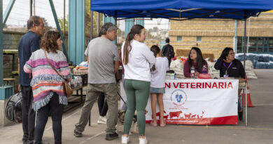 Subdere entrega recursos al municipio de Quilpué para realizar atención veterinaria a animales afectados por los incendios.