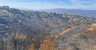 Incendios de Viña del Mar quemaron humedales urbanos todavía no reconocidos por el Ministerio de Medio Ambiente.