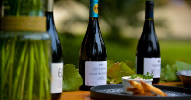 Inauguran 4º versión de Fiesta de la Vendimia del Valle de San Antonio 2024.