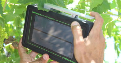 Innovación en el Valle del Aconcagua optimiza el recurso hídrico y fertilizantes.