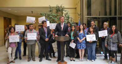 Incendios Forestales: Damnificados del sector El Olivar presentan recurso de protección contra el Gobierno tras no recibir ayuda.