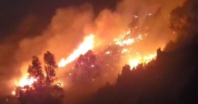 [Actualizado] Voraz incendio afectó al Cerro Cordillera de Valparaíso