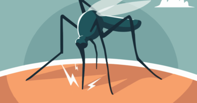 Dengue en Chile: Esto es todo lo que se sabe hasta ahora