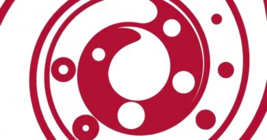 ¿Plagiaron The Black Keys a la banda nacional Los Sillas Musicales?