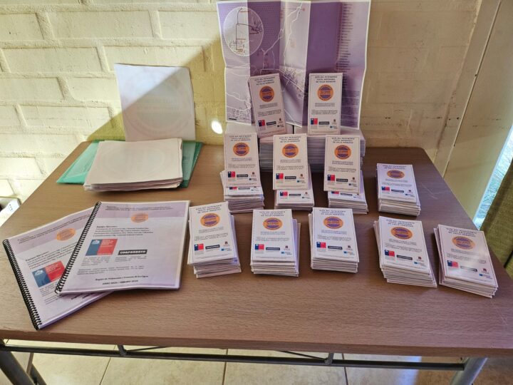 Guías Patrimonio Textil Artesanal de Valle Hermoso, La Ligua. Informe y distintivos del proyecto.