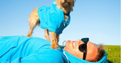Perro con ropa UV azul sobre su dueño en el pasto. Protección solar efectiva para la piel de mascotas.