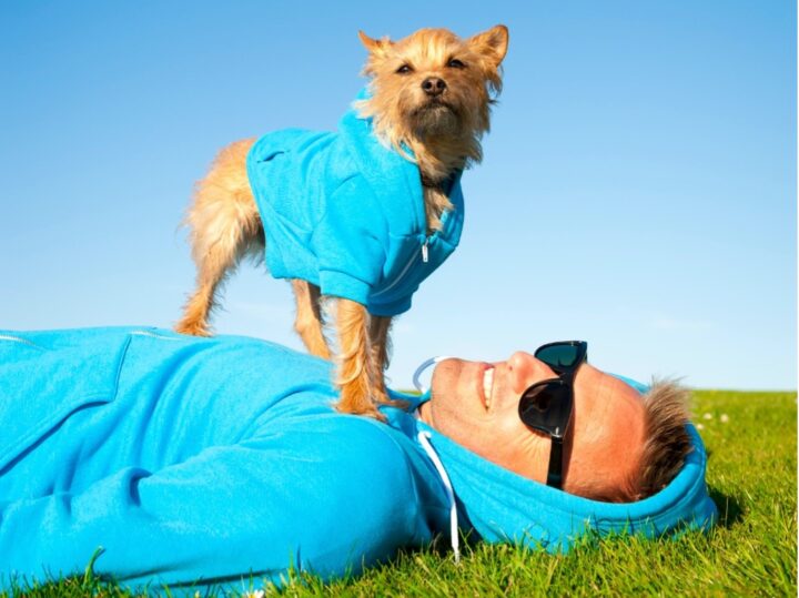 Perro con ropa UV azul sobre su dueño en el pasto. Protección solar efectiva para la piel de mascotas.
