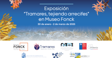 Exposición Tramares, tejiendo arrecifes en Museo Fonck, Viña del Mar. Arte textil de arrecifes mesofóticos. 30/01-02/03/2025.
