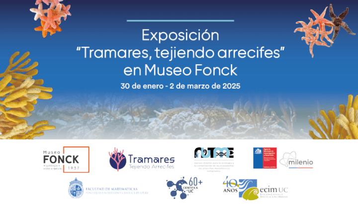 Exposición Tramares, tejiendo arrecifes en Museo Fonck, Viña del Mar. Arte textil de arrecifes mesofóticos. 30/01-02/03/2025.