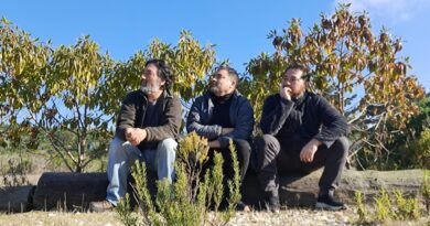 Los Sillas Musicales: tres músicos sentados en un tronco, pensativos, bajo un cielo azul. Promoción de "Macho Herido".