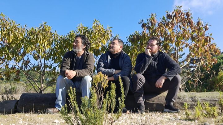 Los Sillas Musicales: tres músicos sentados en un tronco, pensativos, bajo un cielo azul. Promoción de "Macho Herido".
