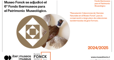 Faisán taxidermizado. Museo Fonck ganó 6° Fondo Ibermuseos para Patrimonio Museológico, conservando colecciones 2024/2025.