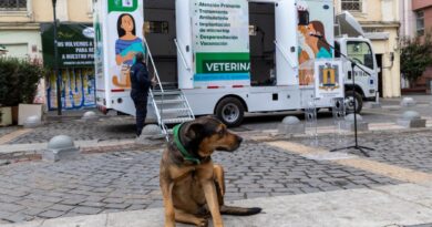 Perro en inauguración Clínica Veterinaria Móvil Valparaíso. Ofrece esterilizaciones y bienestar animal.