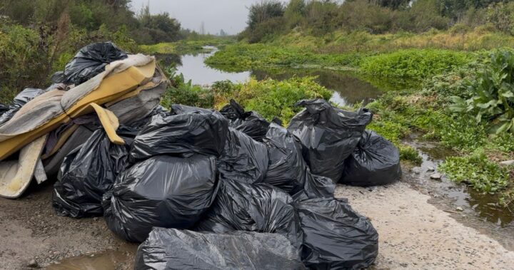 15 toneladas de basura apiladas en el Estero de Limache, resultado de la exitosa jornada de limpieza comunitaria.