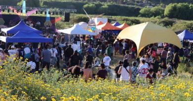 Festival vibrante con gente, carpas coloridas, escenario musical y escultura. Campo de flores amarillas bajo colinas verdes.