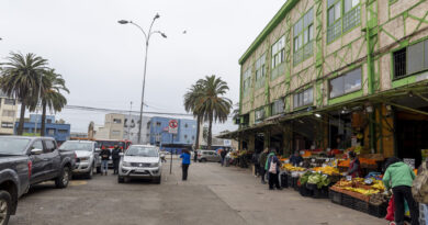 Puestos de frutas y verduras en Valparaíso, frente al Mercado Cardonal con marcos verdes. Gente comprando. Refleja ordenamiento.