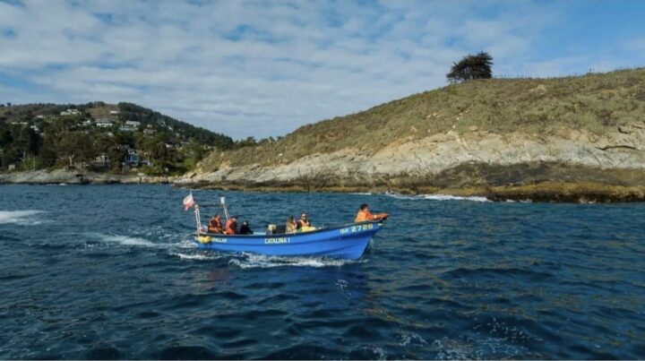 Bote 'CATALINA I' en Zapallar, Chile. Vigilancia con hidrófonos protege refugios marinos y frena extracción ilegal.