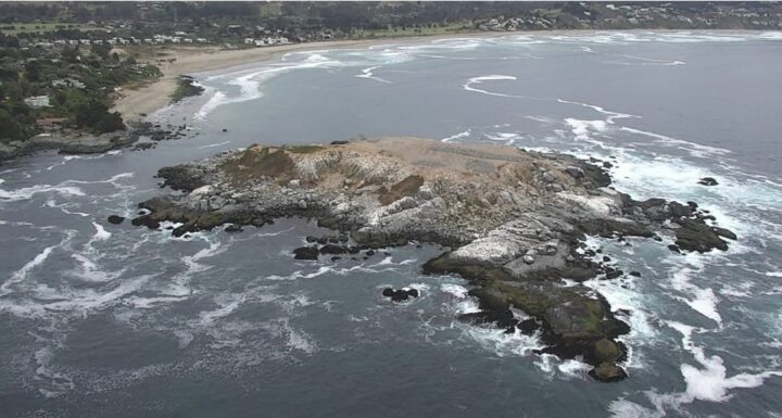 Costa de Zapallar: isla rocosa, olas y playa. Refugio marino protegido con hidrófonos contra extracción ilegal de recursos.