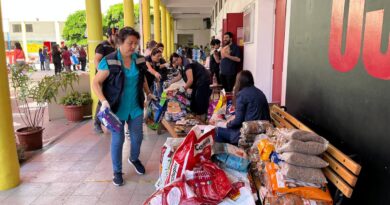 Personas organizan insumos y alimentos en centro de acopio de Viña del Mar para damnificados por incendios en Biobío y Ñuble.