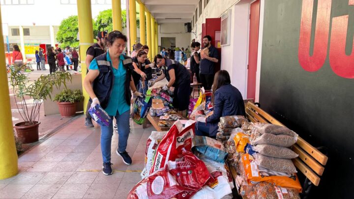 Personas organizan insumos y alimentos en centro de acopio de Viña del Mar para damnificados por incendios en Biobío y Ñuble.