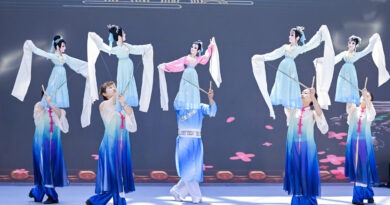 Espectáculo cultural chino: artistas con trajes coloridos manipulan marionetas tradicionales en un escenario, parte de la muestra de arte.