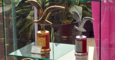 Gaviotas de Oro y Plata del Festival de Viña, trofeos recuperados tras robo y exhibidos.