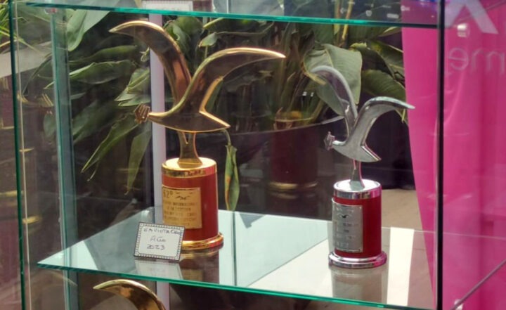 Gaviotas de Oro y Plata del Festival de Viña, trofeos recuperados tras robo y exhibidos.