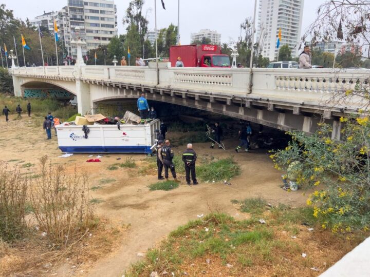 Operativo de limpieza en Estero Marga Marga, Viña del Mar. Equipo municipal retira desechos voluminosos bajo puente. Contenedor rebosante.