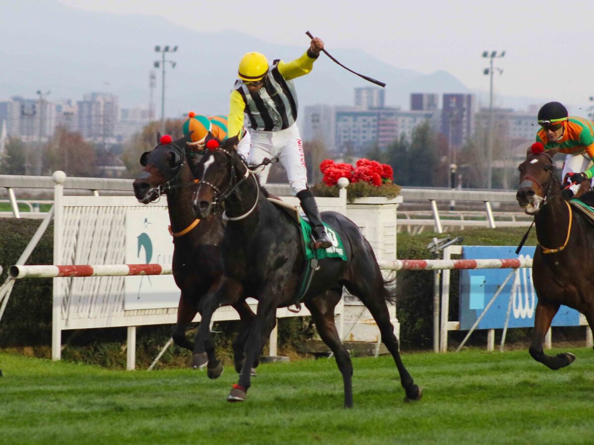 Tradicional carrera de hípica Clásico Club Hípico de Santiago Falabella.