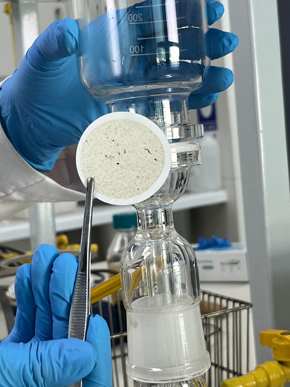 Investigación y análisis microbiológico en el humedal urbano de Reñaca.