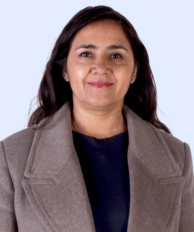 Mónica Oyarzún Salinas, académica de Terapia Ocupacional de la Universidad Central de Chile.