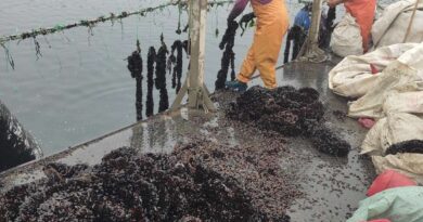 Centro de acuicultura de pequeña escala para el cultivo de mariscos y peces.