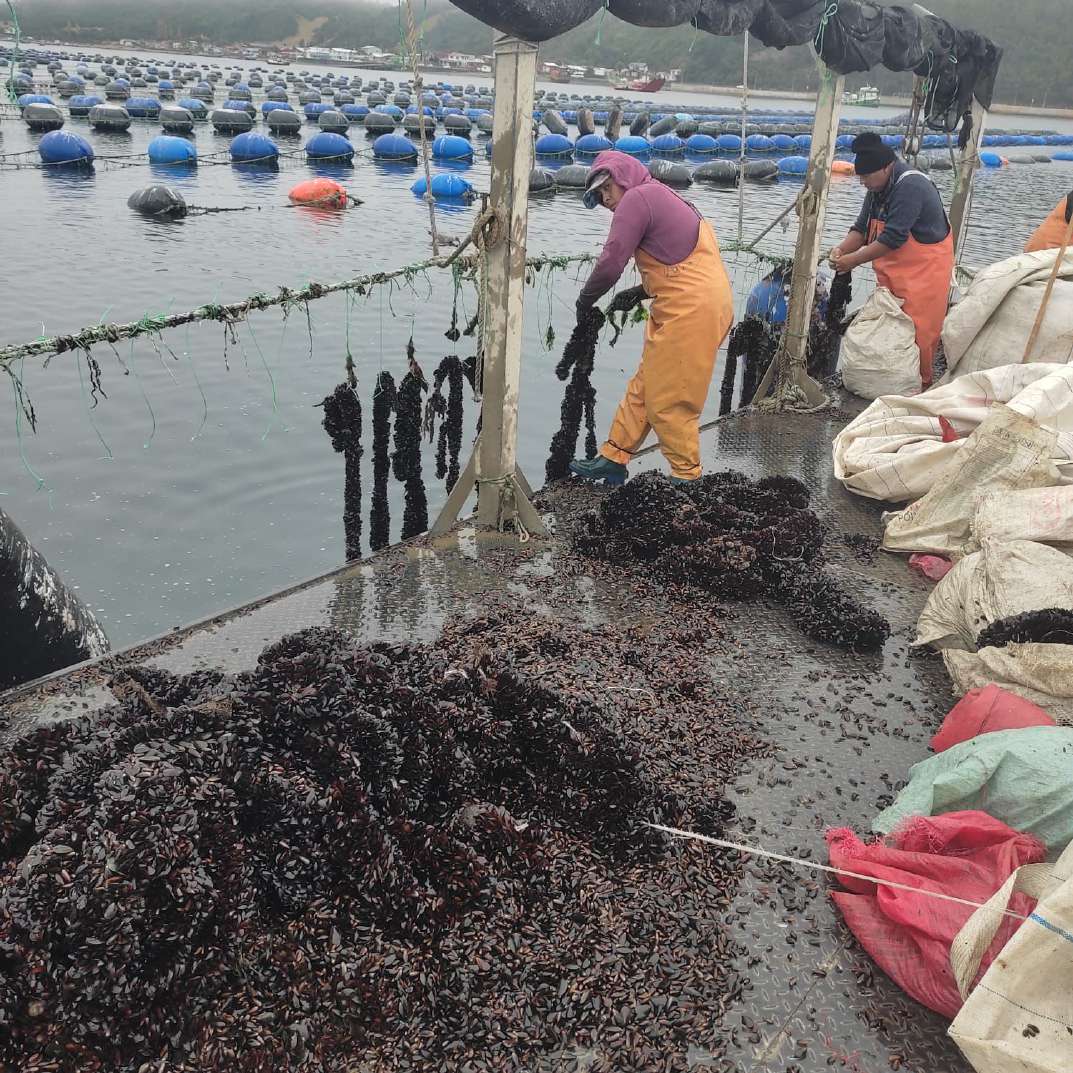 Centro de acuicultura de pequeña escala para el cultivo de mariscos y peces.