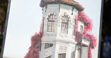 Vista panorámica de la Casa Eastman, hito del patrimonio histórico de la comuna de Limache.
