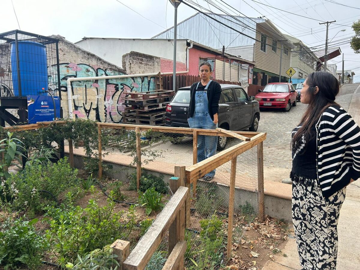Implementación de bancales y preparación de terreno para el sistema de riego eficiente en la huerta comunitaria