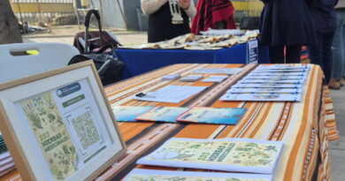 Operativo de salud intercultural en la Plaza Los Ancestros de Quillota.