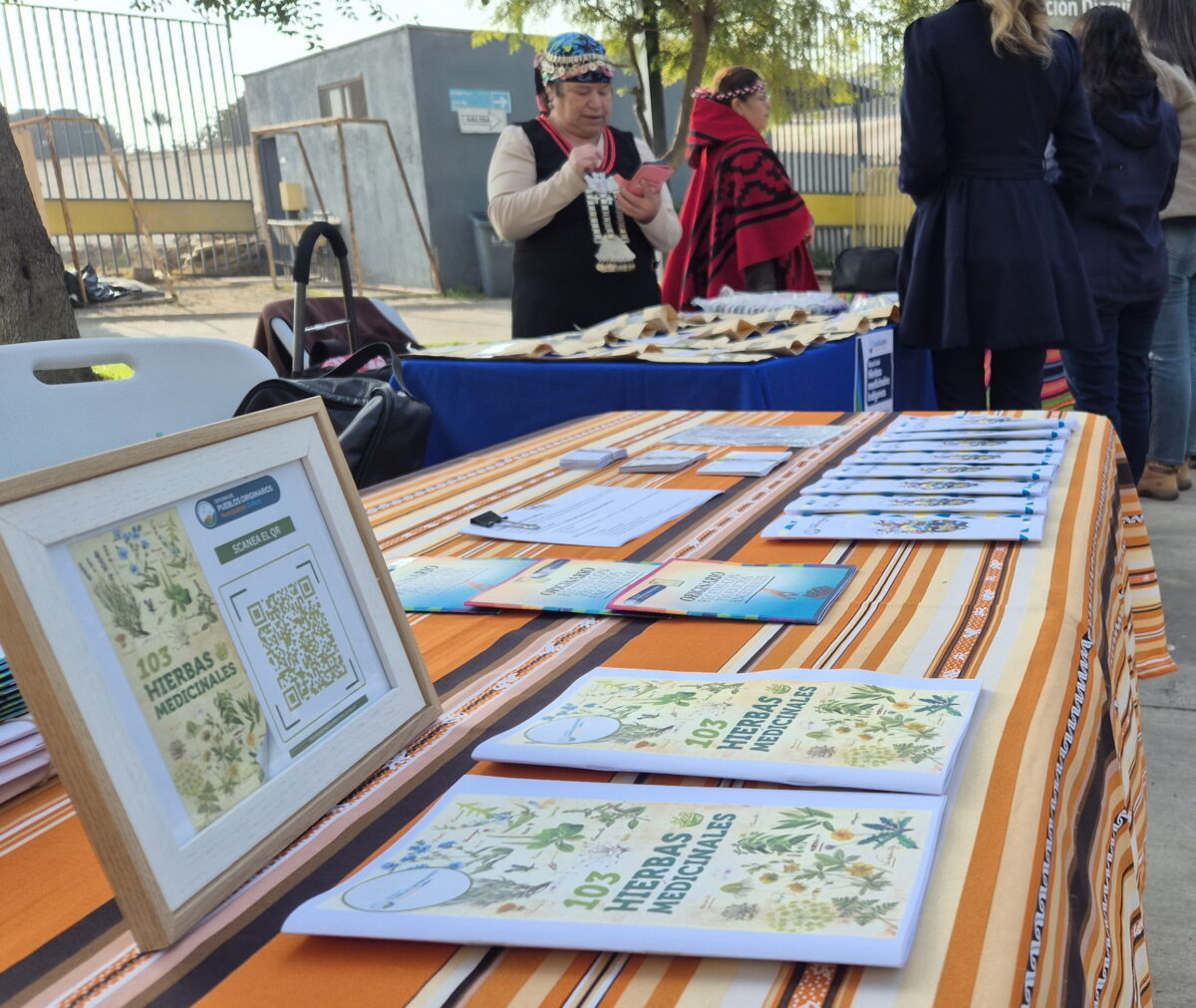 Operativo de salud intercultural en la Plaza Los Ancestros de Quillota.