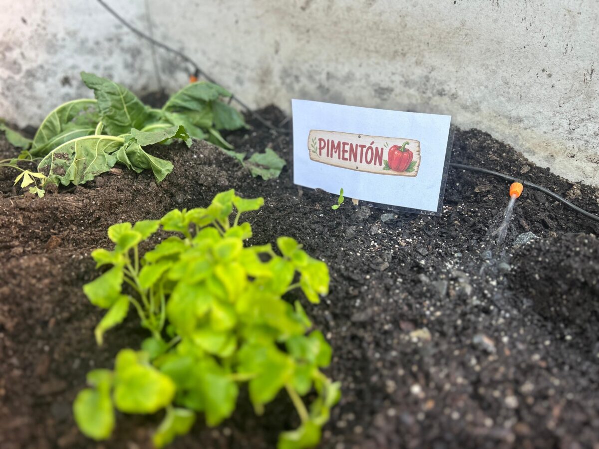 Detalle del sistema de riego eficiente implementado en los cultivos del invernadero.