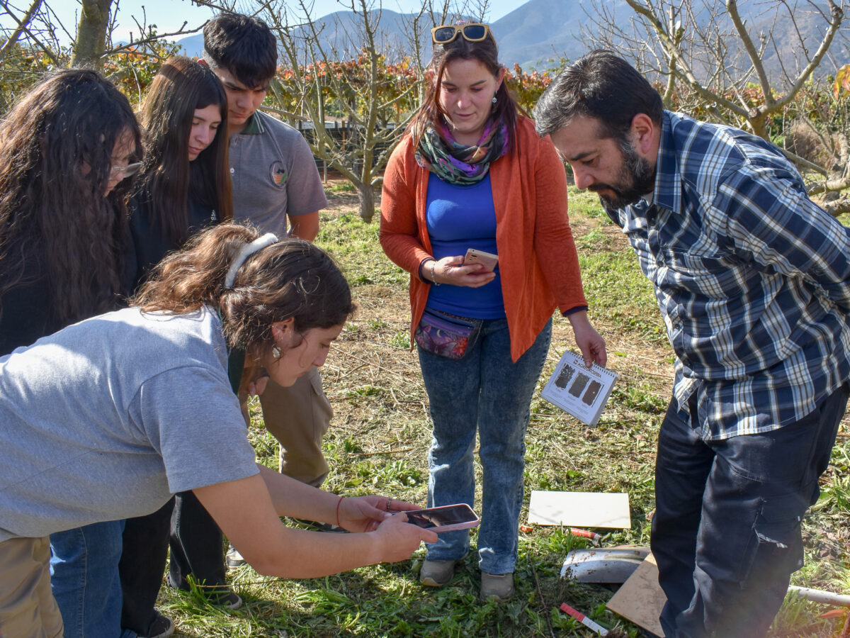 Estudiantes y profesionales evaluando la condición biológica del suelo.
