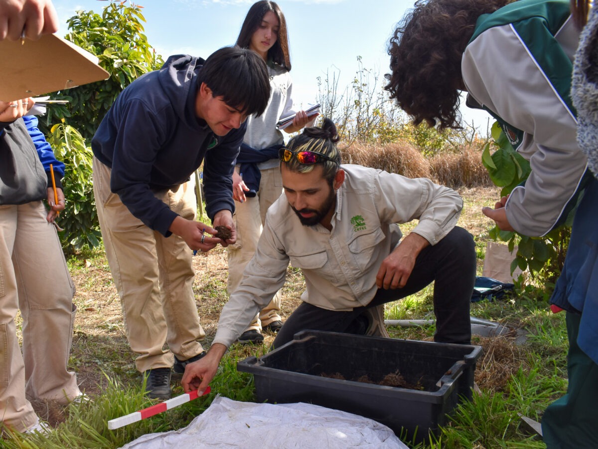 Estudiantes realizando pruebas de campo para identificar esferas de influencia biológica en el suelo.
