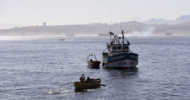 Barcos de pesca en la bahía de Valparaíso, Chile.