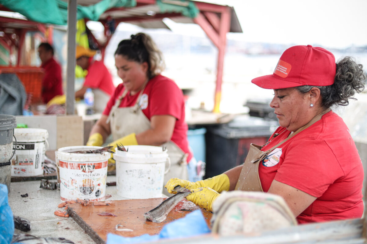 Mujeres trabajando en la manipulación de pescado en un puesto de mercado.