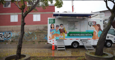 Clínica veterinaria móvil del municipio de Valparaíso.