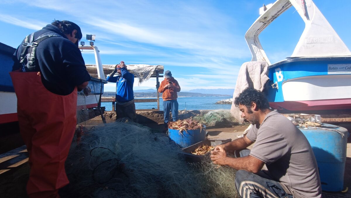Pescadores artesanales trabajando en la preparación de redes y descarga de productos en Caleta Pichicuy.